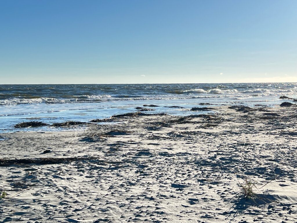 a beach with waves (MyCoast AI)