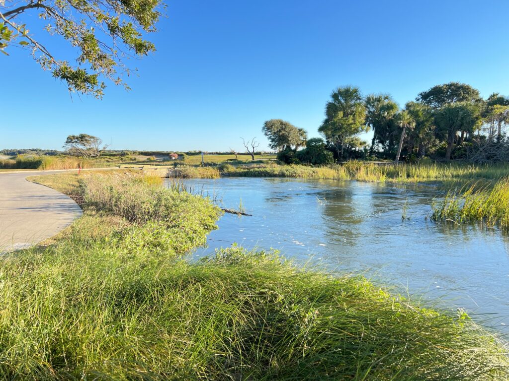 a river with grass and trees (MyCoast AI)