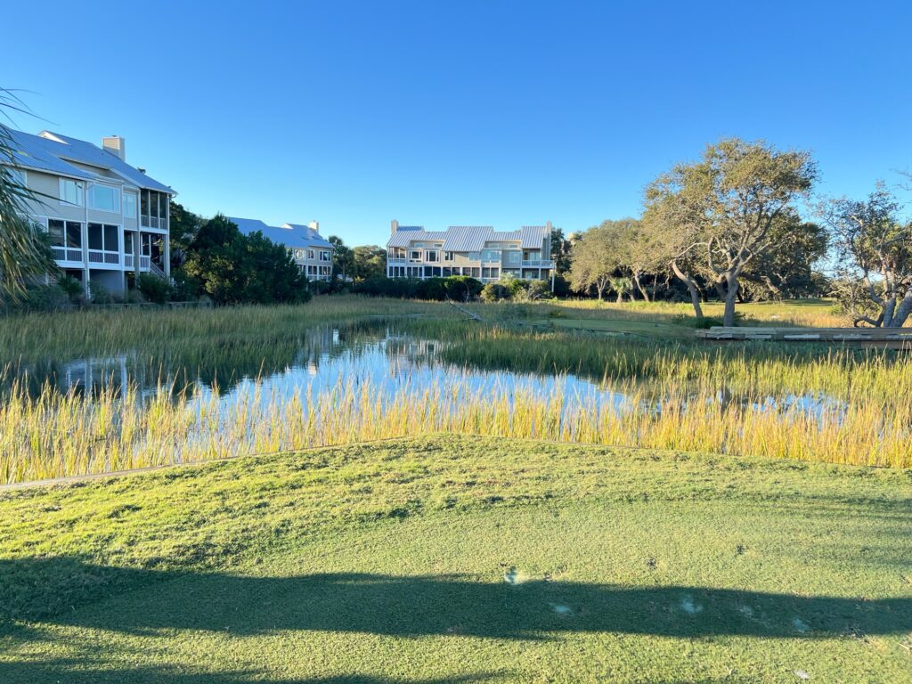 a pond with grass and trees (MyCoast AI)