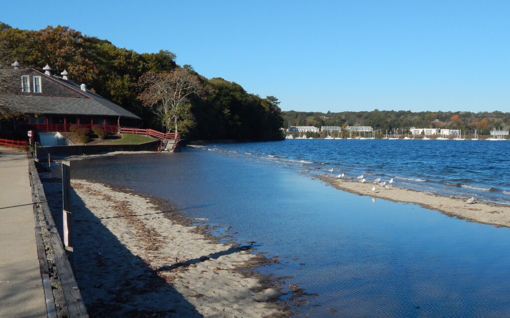 a body of water with a beach and houses along it (MyCoast AI)