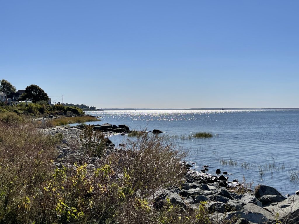 a rocky beach with a body of water in the background (MyCoast AI)