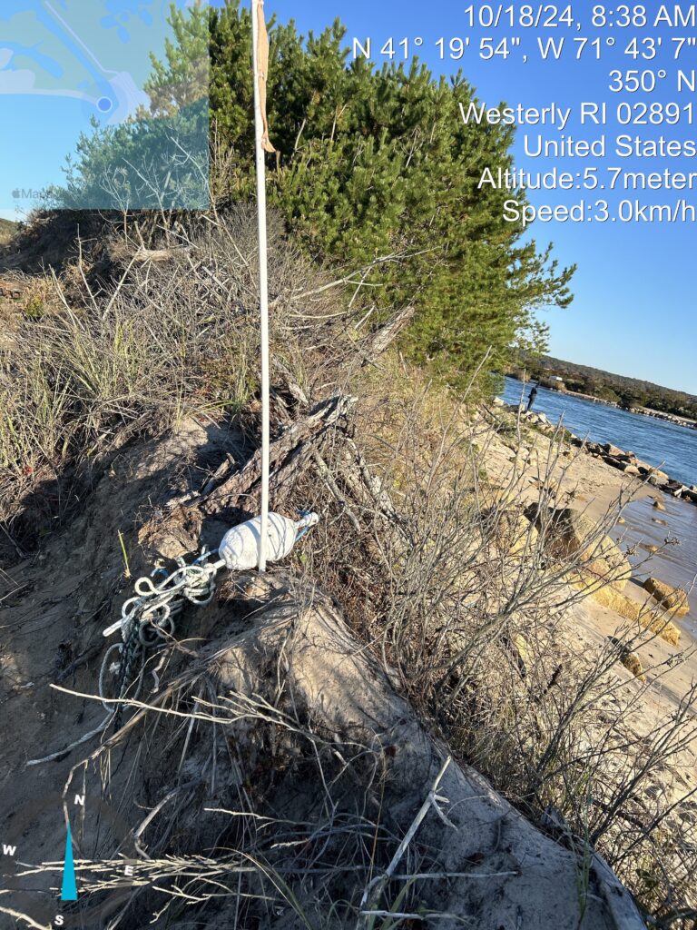 a tree that has been cut (MyCoast AI)