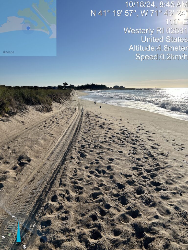 a sandy beach with a person walking on it (MyCoast AI)
