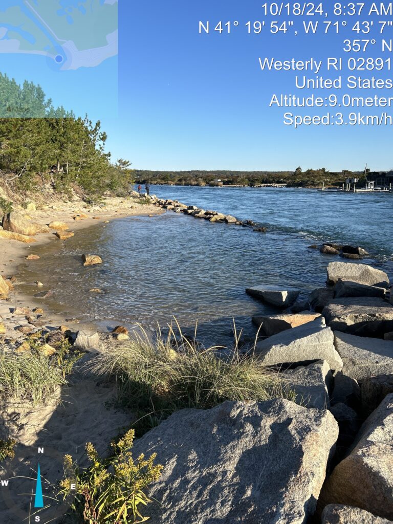 a body of water with rocks and plants around it (MyCoast AI)