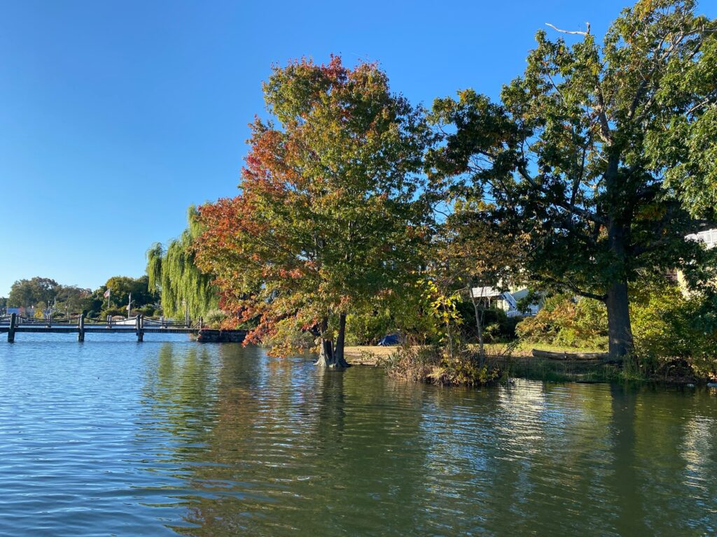 a body of water with trees around it (MyCoast AI)