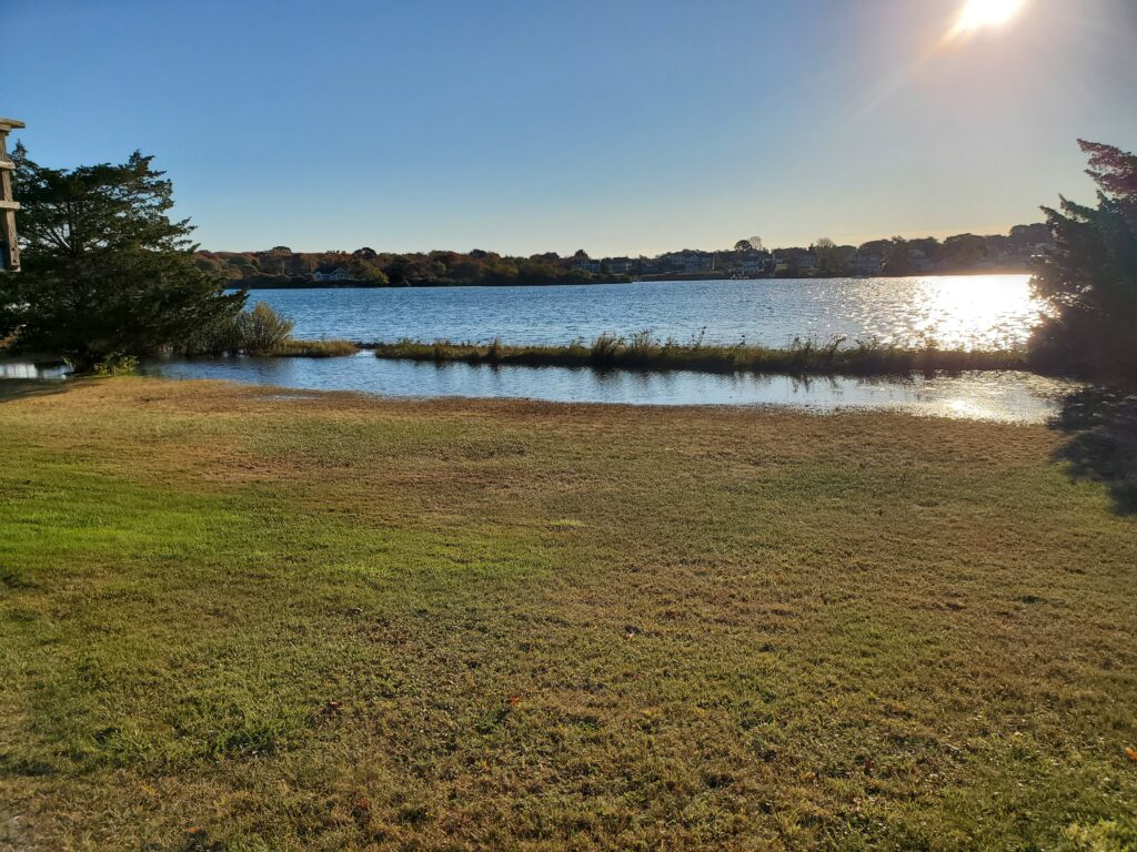 a body of water with grass and trees around it (MyCoast AI)
