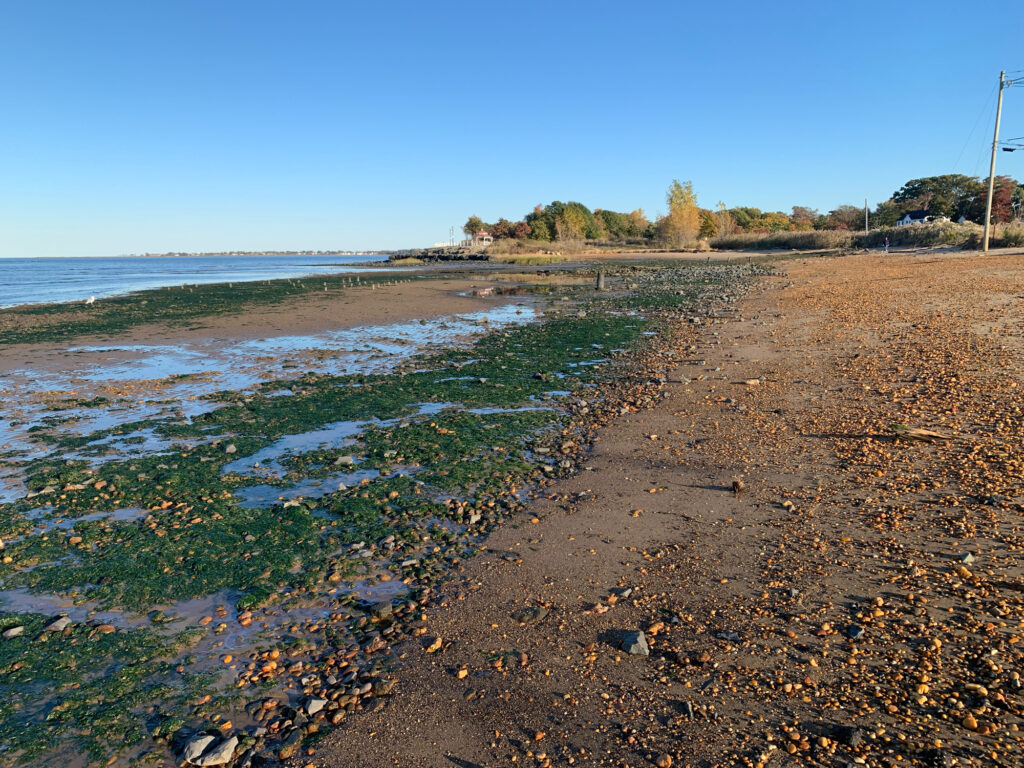 a muddy beach with water (MyCoast AI)