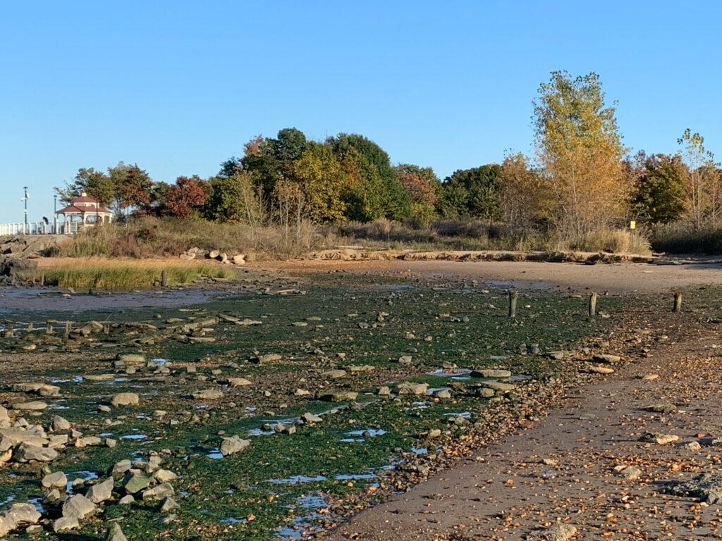 a river with rocks and trees (MyCoast AI)