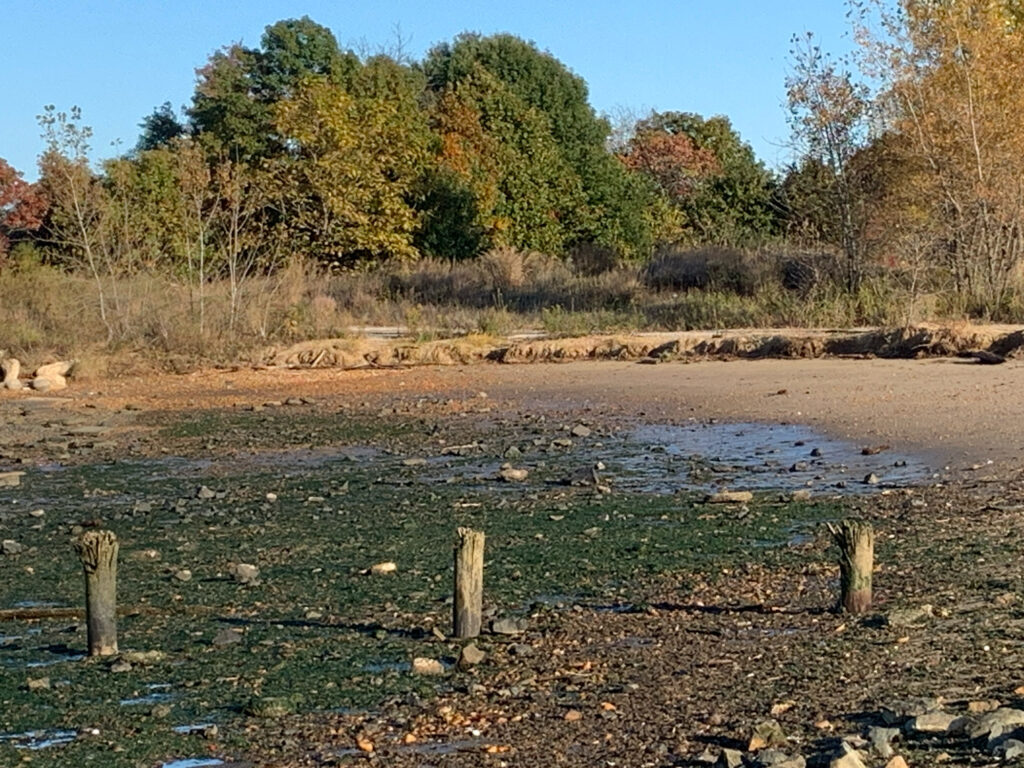 a small pond in a field (MyCoast AI)