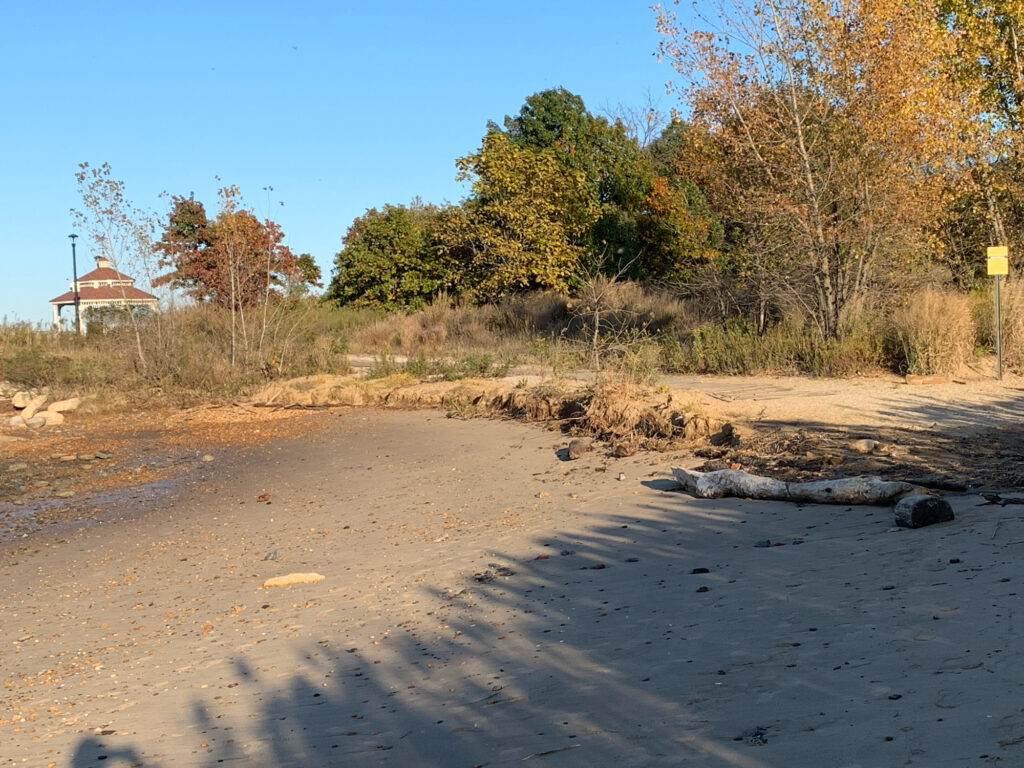 a sandy beach with trees and a building in the background (MyCoast AI)