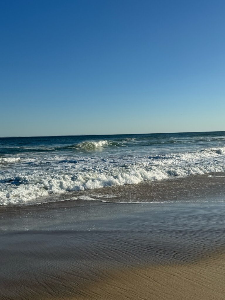 waves crashing on a beach (MyCoast AI)