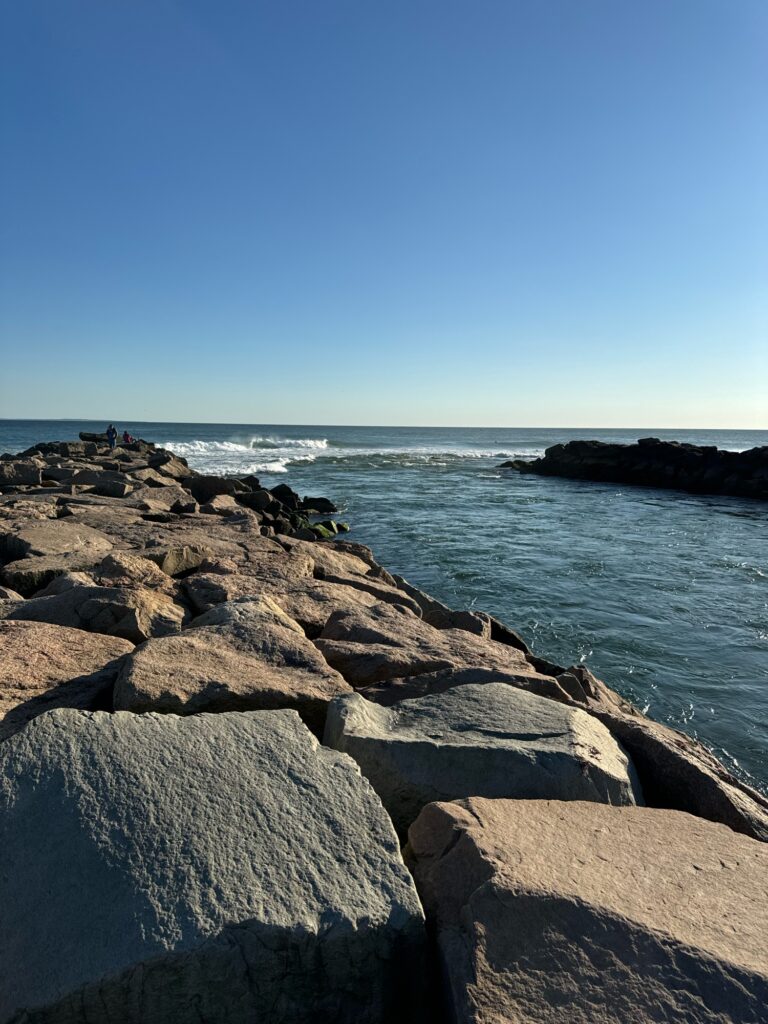 a rocky beach with a body of water in the background (MyCoast AI)