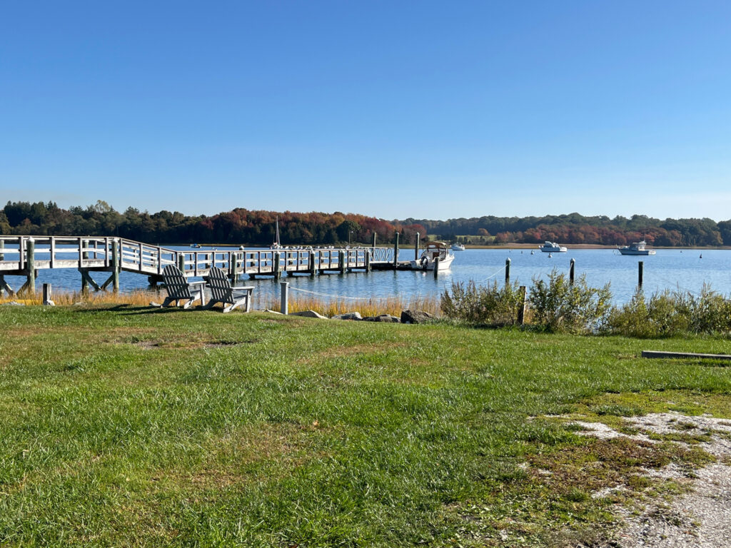 a dock with boats in a lake (MyCoast AI)