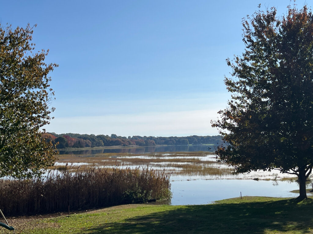 a lake with trees and grass (MyCoast AI)