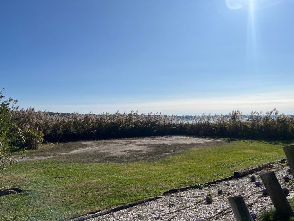 a field with trees in the background (MyCoast AI)