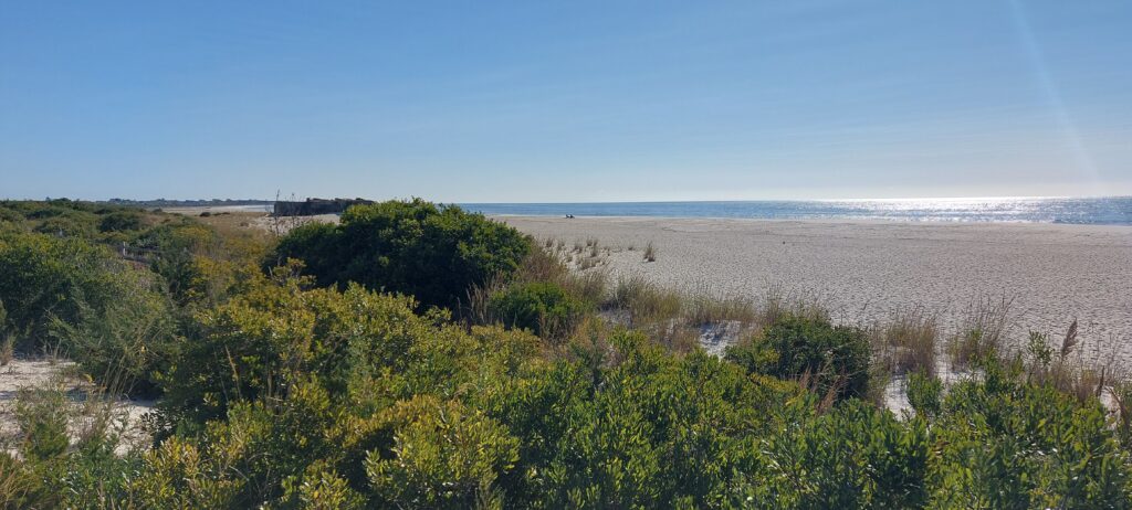 a landscape with trees and water (MyCoast AI)