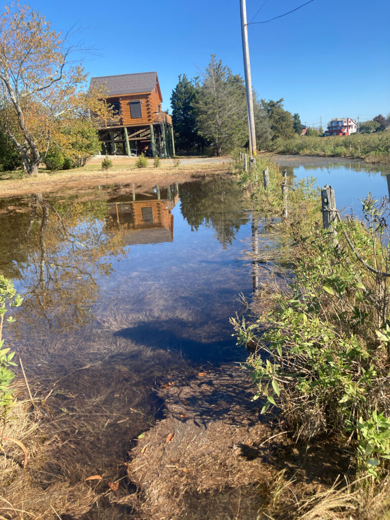a flooded area with a house in the background (MyCoast AI)
