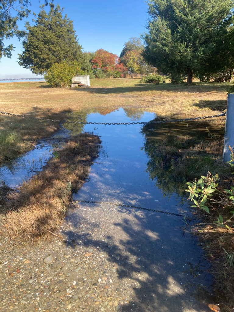 a small stream of water (MyCoast AI)