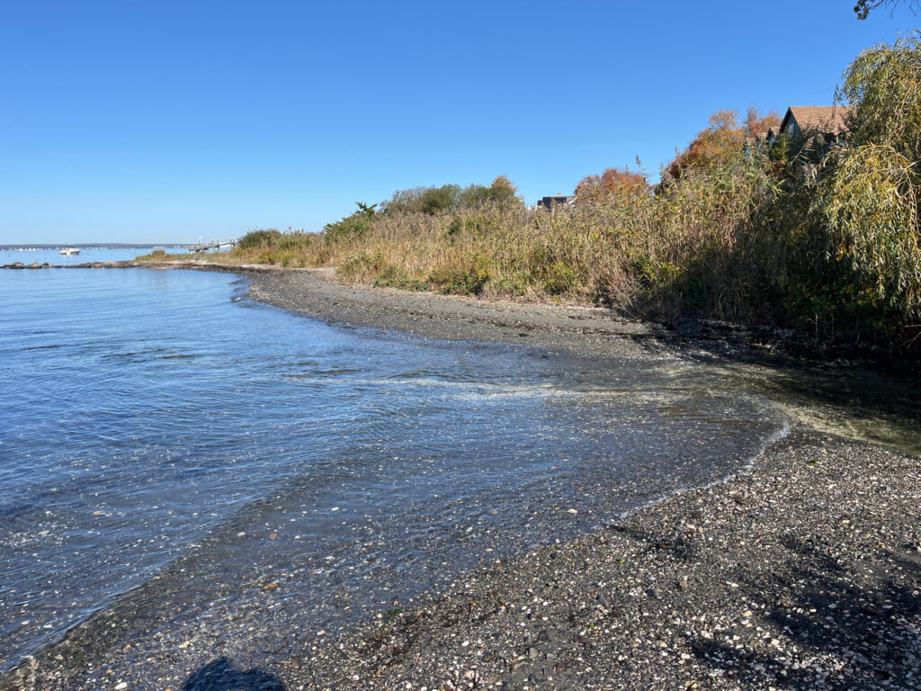 a beach with trees and a body of water (MyCoast AI)
