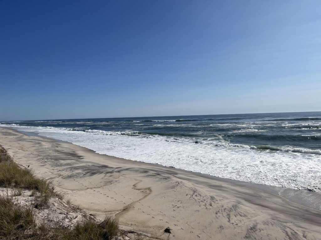 a sandy beach with waves crashing on it (MyCoast AI)