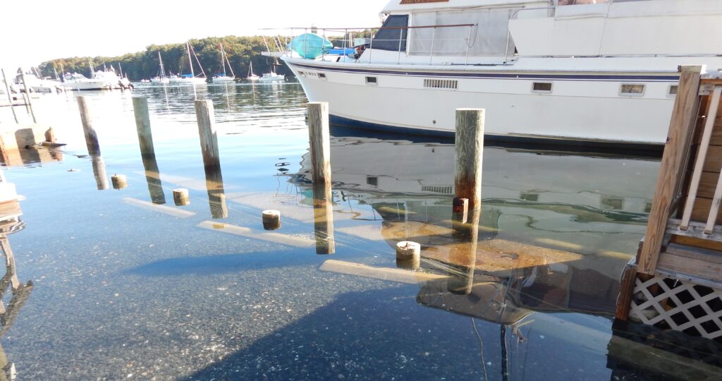 a boat docked at a pier (MyCoast AI)