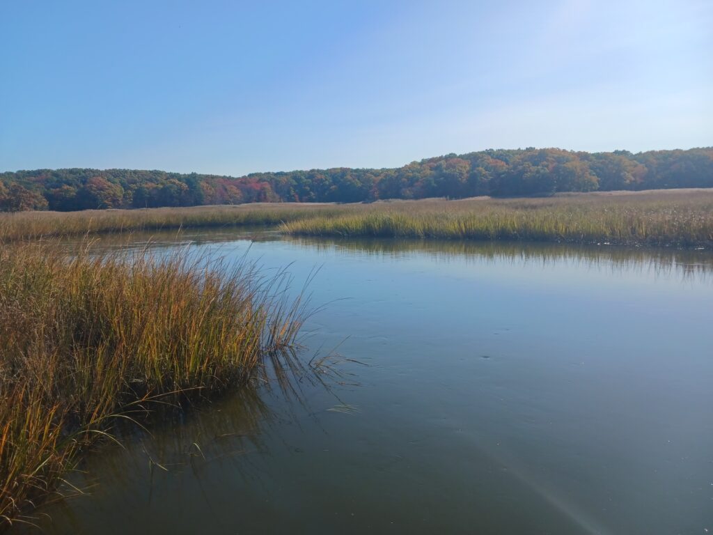 a body of water with grass and trees around it (MyCoast AI)