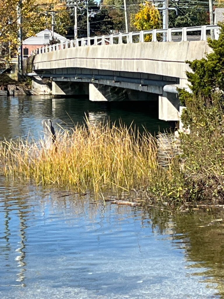 a bridge over a river (MyCoast AI)