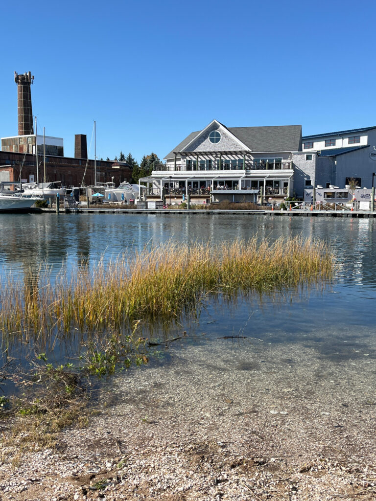 a body of water with buildings along it (MyCoast AI)