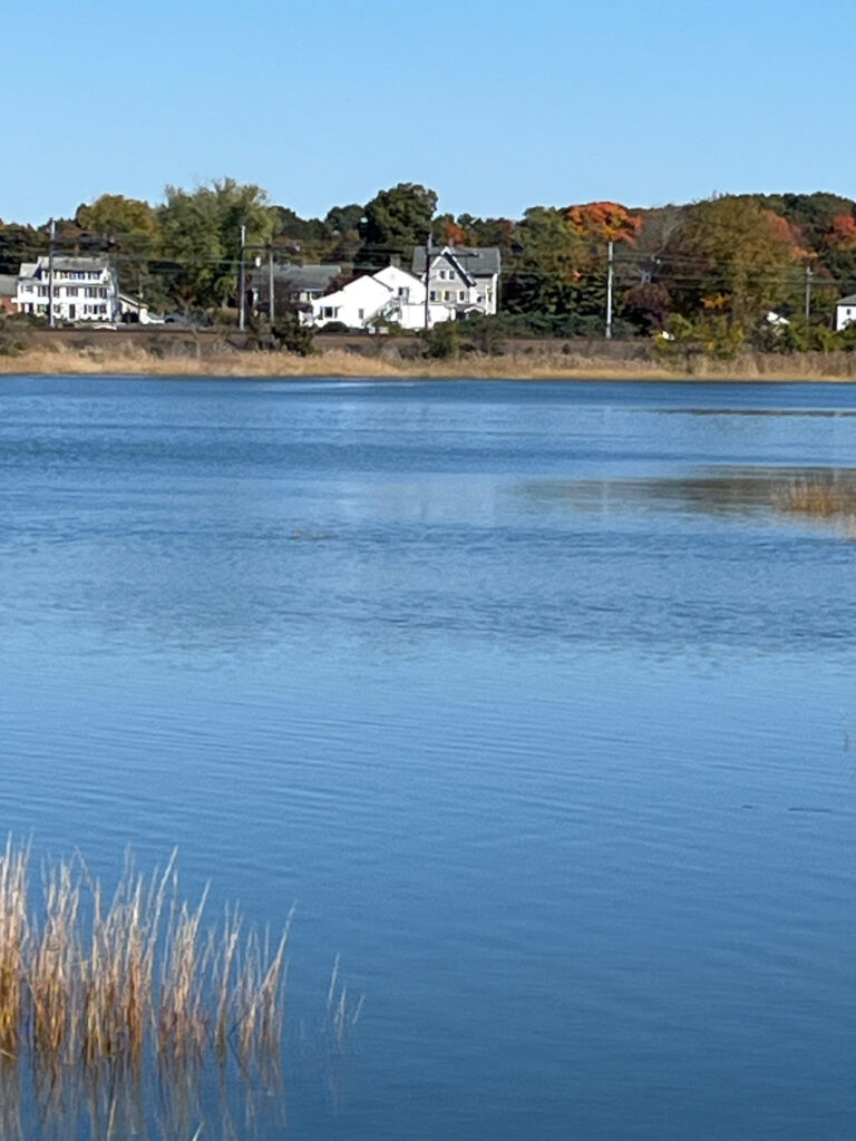 a body of water with houses in the background (MyCoast AI)