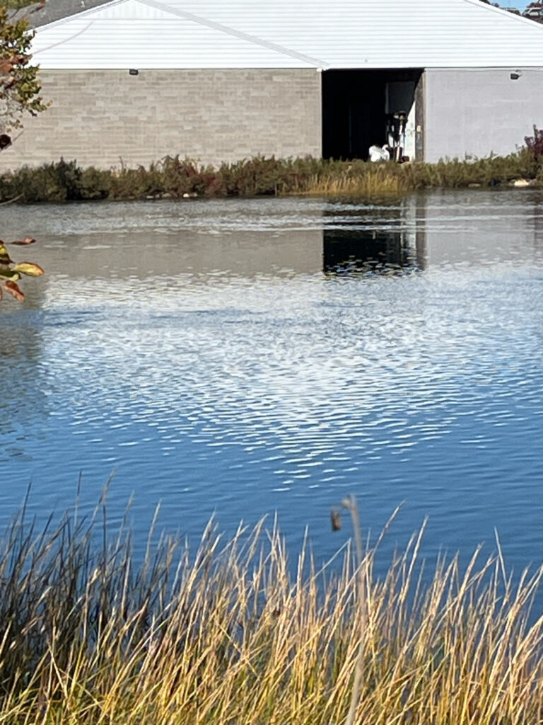 a body of water with a building in the background (MyCoast AI)