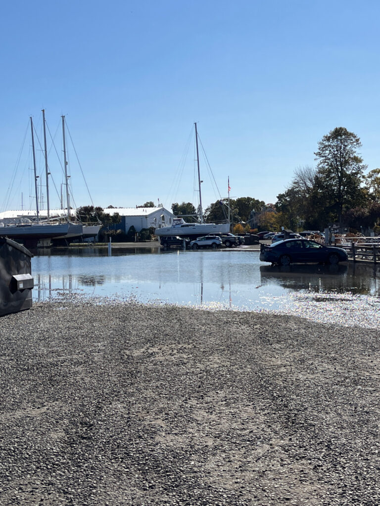 a body of water with boats and buildings along it (MyCoast AI)