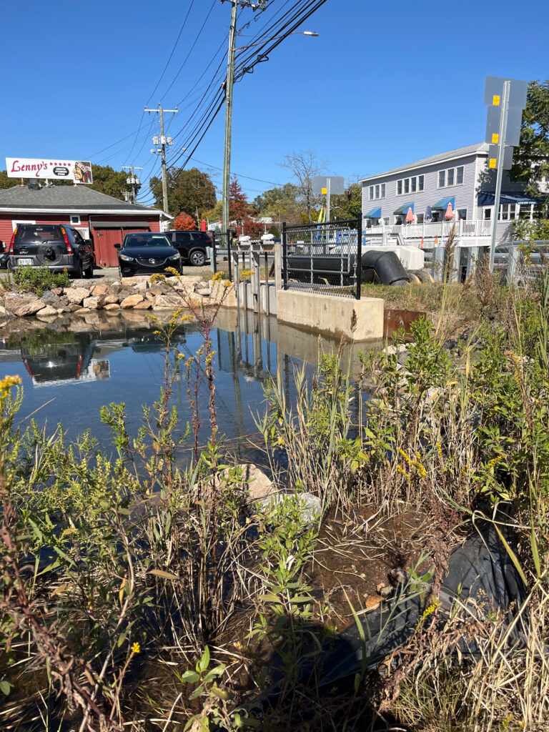 a body of water with plants and buildings around it (MyCoast AI)