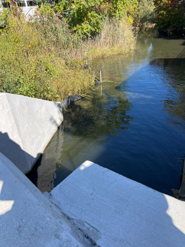 a body of water with a concrete wall and trees around it (MyCoast AI)