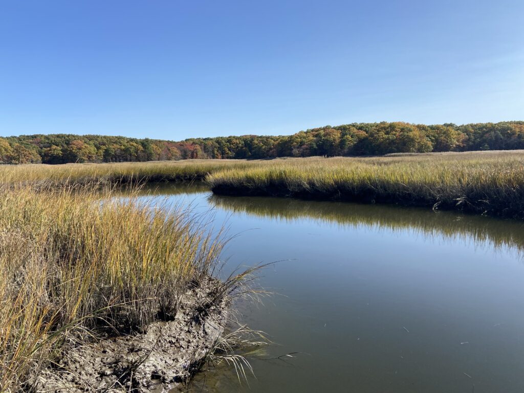 a body of water with grass and trees around it (MyCoast AI)