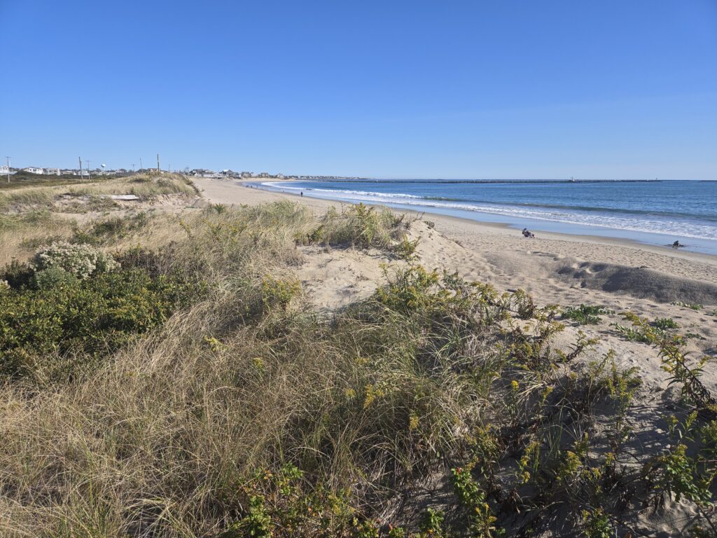 a beach with grass and sand (MyCoast AI)