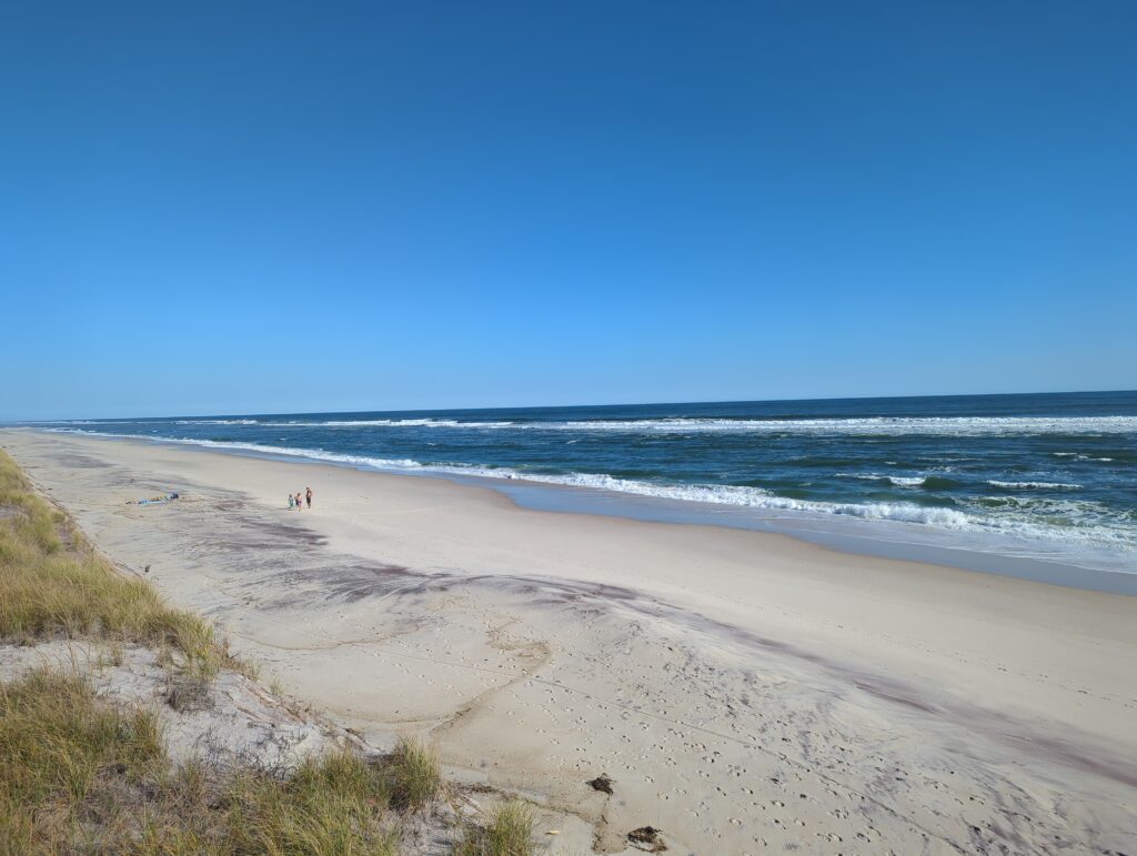 a beach with people on it (MyCoast AI)