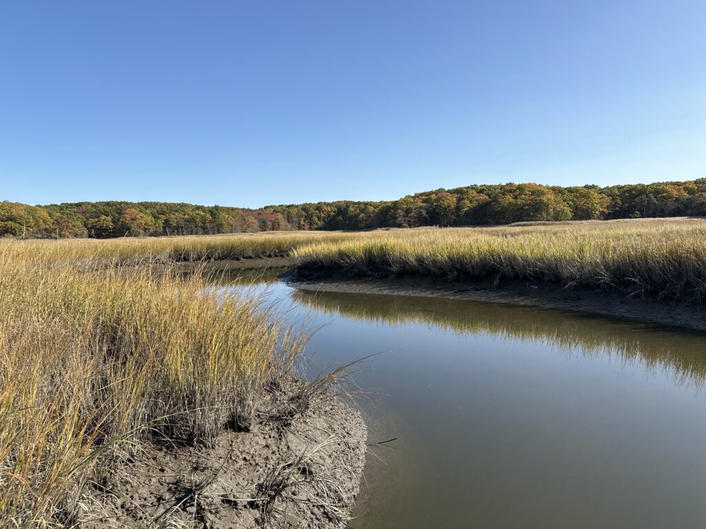a body of water with grass and trees around it (MyCoast AI)
