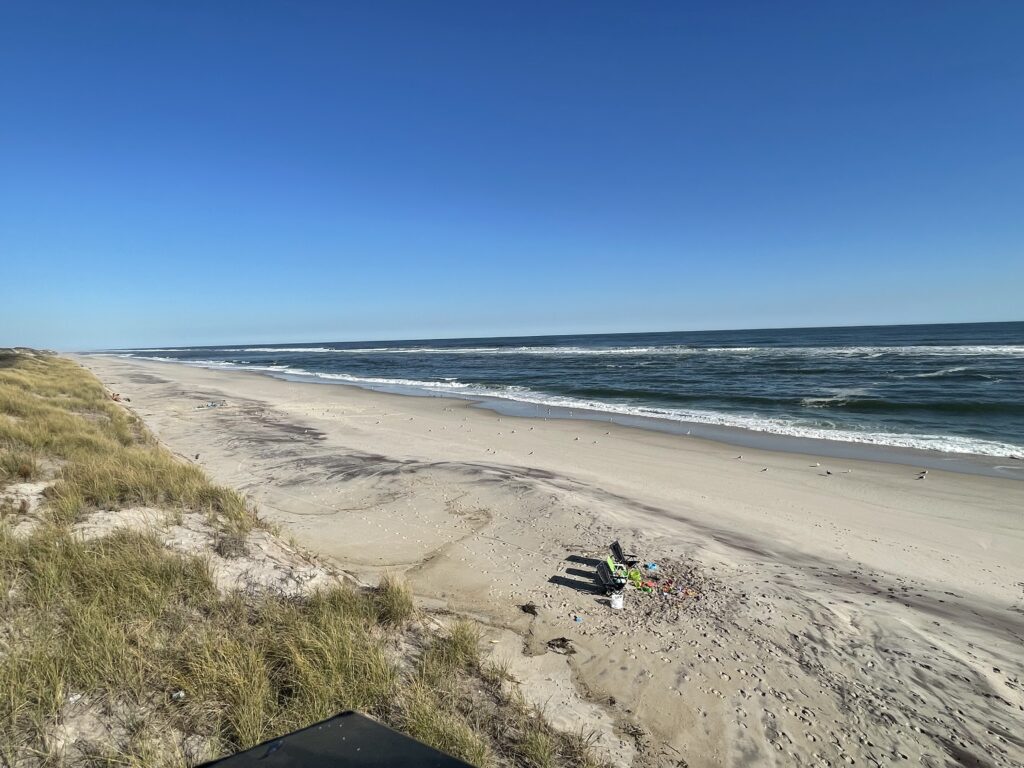 a beach with a body of water in the background (MyCoast AI)