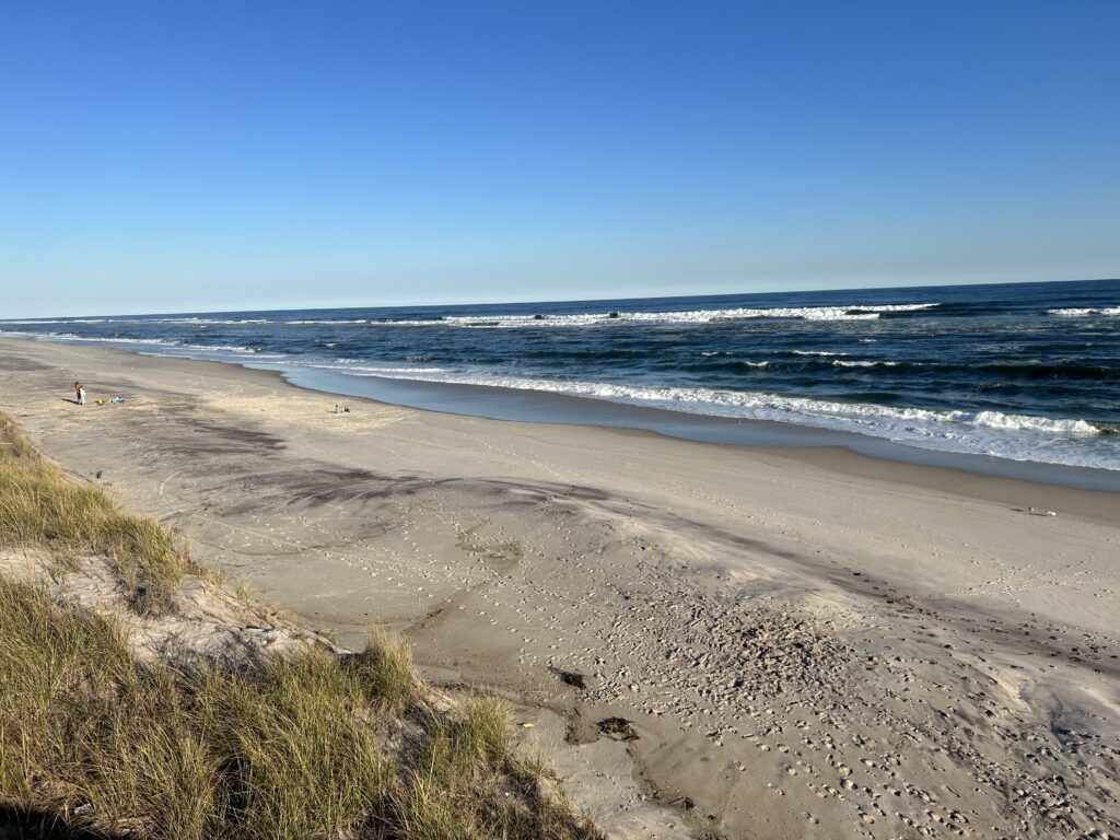 a sandy beach with waves crashing on it (MyCoast AI)