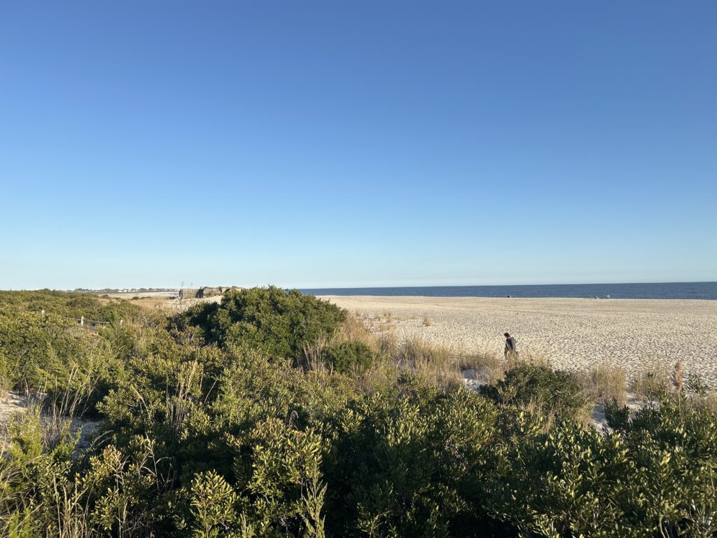 a person walking in a field (MyCoast AI)