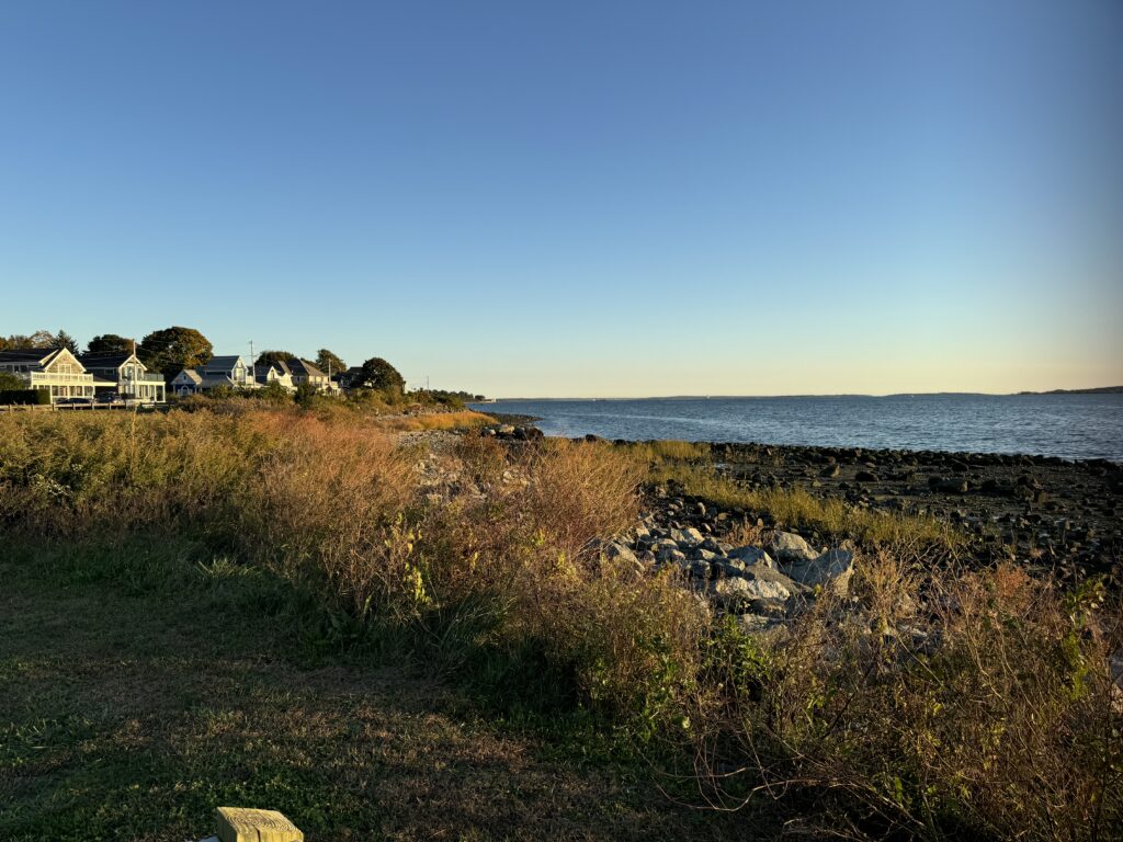 a grassy area next to a body of water (MyCoast AI)