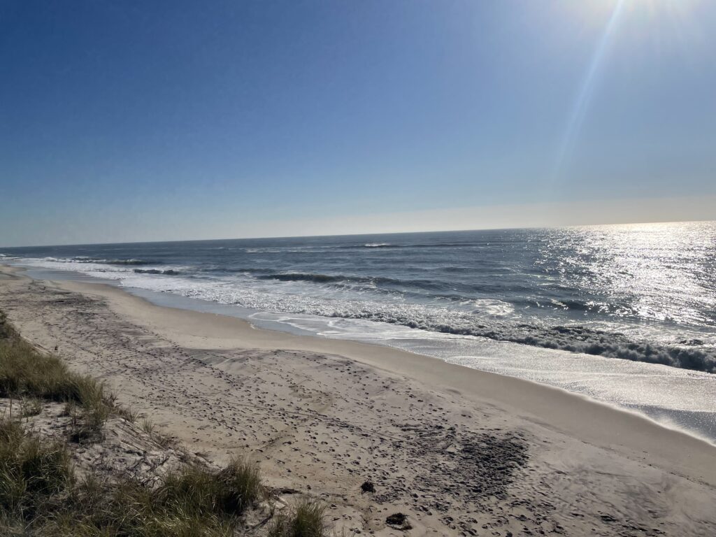 a beach with waves crashing on it (MyCoast AI)