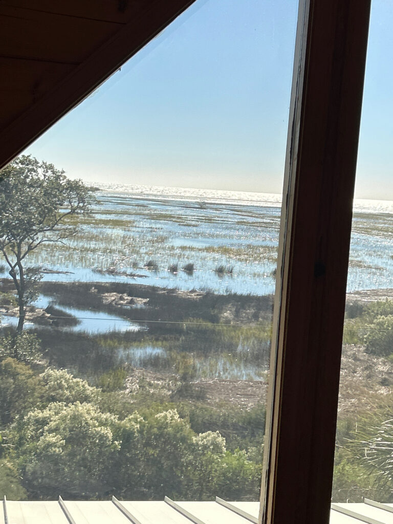 a view of a river and trees from a window (MyCoast AI)