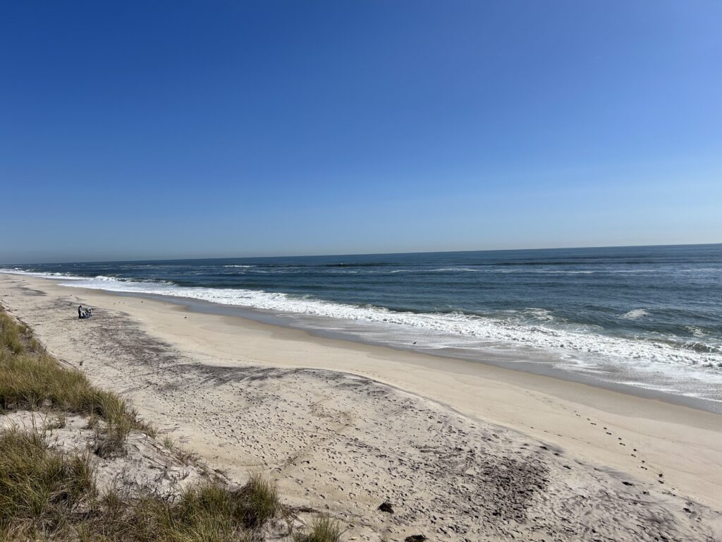 a sandy beach with waves crashing on it (MyCoast AI)