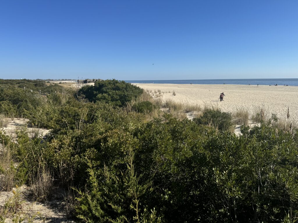 a person walking in a field (MyCoast AI)