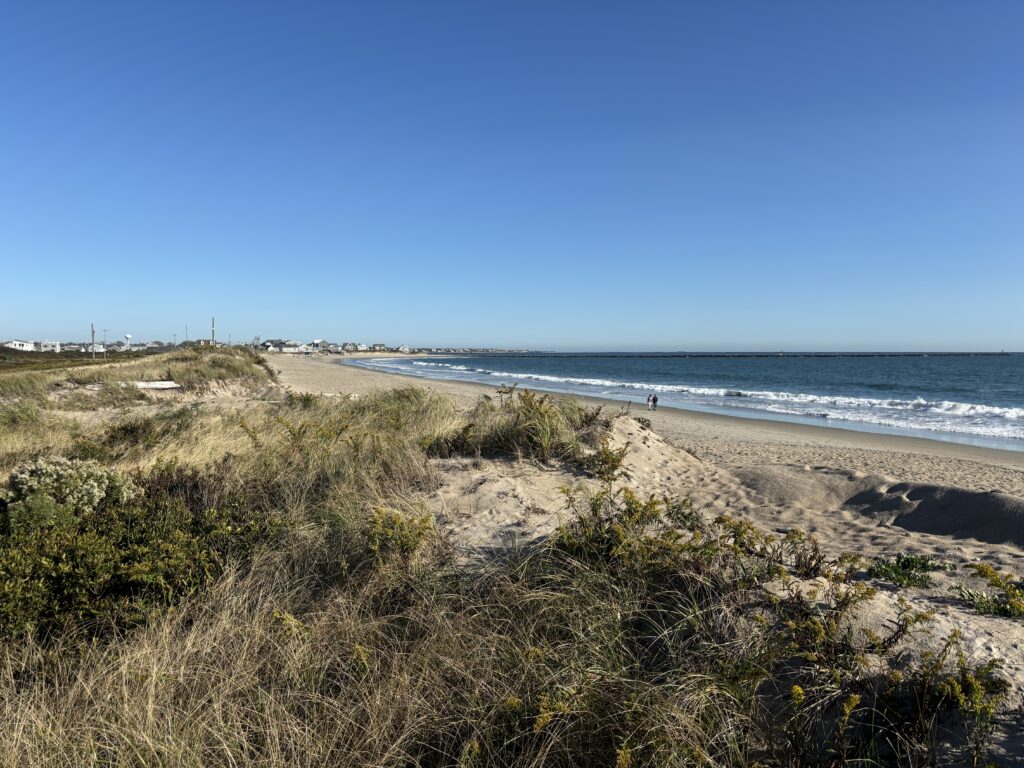 a beach with grass and sand (MyCoast AI)