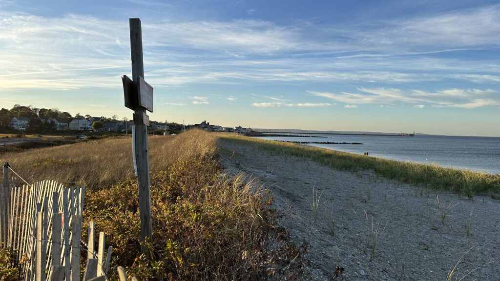 a road next to a beach (MyCoast AI)