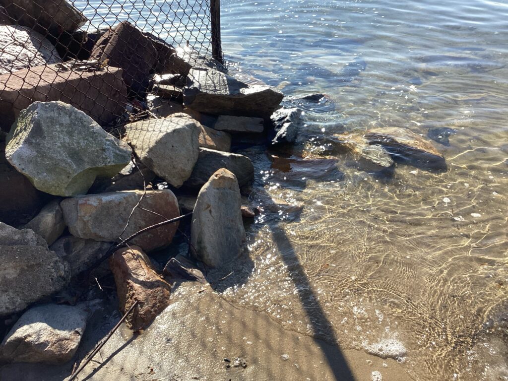 a group of rocks on a beach (MyCoast AI)