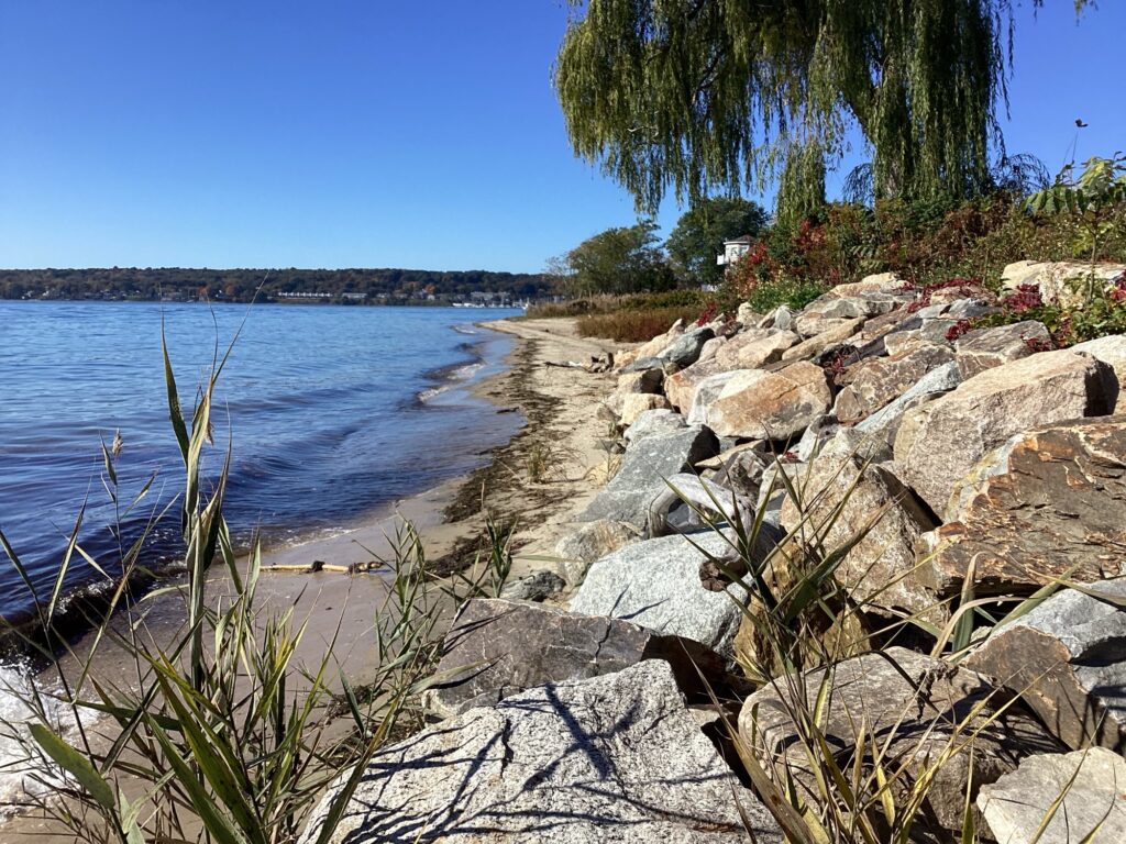 a rocky beach with a body of water in the background (MyCoast AI)