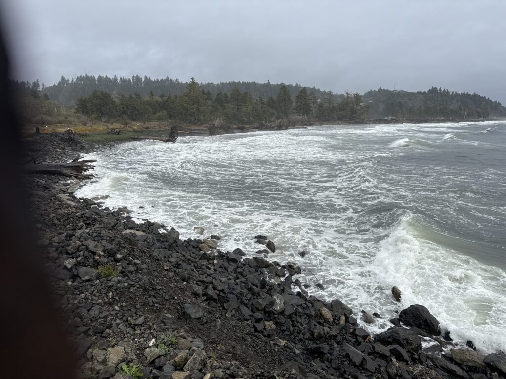 a rocky shore with a body of water and trees in the background (MyCoast AI)